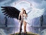ANGEL__NEGRO