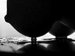 Black_Angel