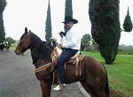 franciscoibarra