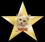 _NANI_