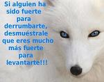 _UrIel_