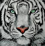 Alex_Leal