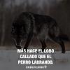 george_LOBO
