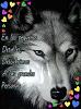 Carmen_67