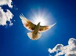 libertad