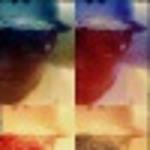 jowell_22