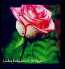 DJ_NOE_leGeNd