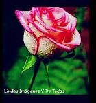 DJ_NOE_leGeNd