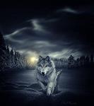 Juan_LOBO