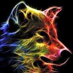 DANU__LOBO